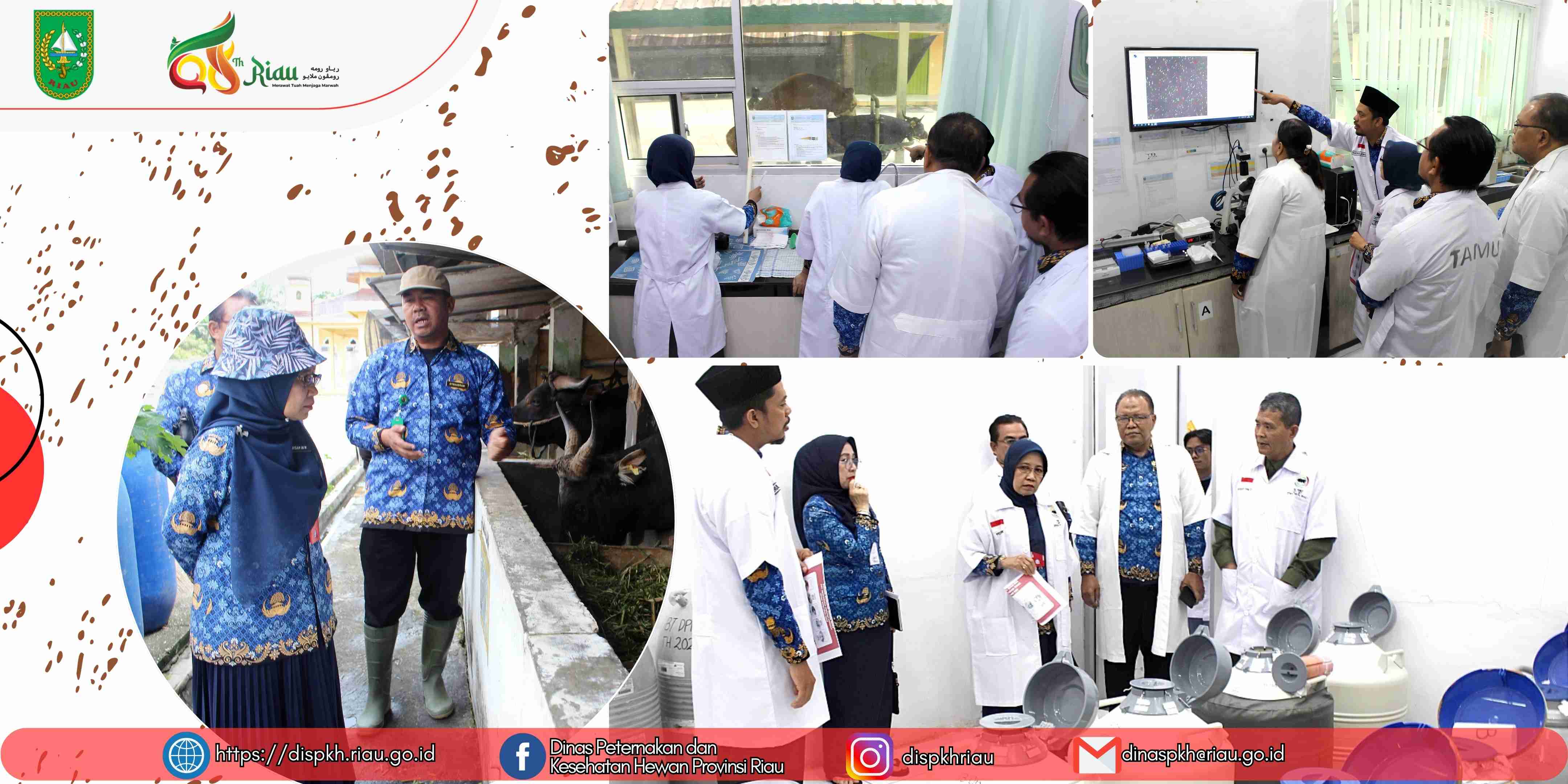  Kadis Peternakan dan Kesehatan Hewan Provinsi Riau Kunjungi UPT Inseminasi Buatan Ternak (IBT)