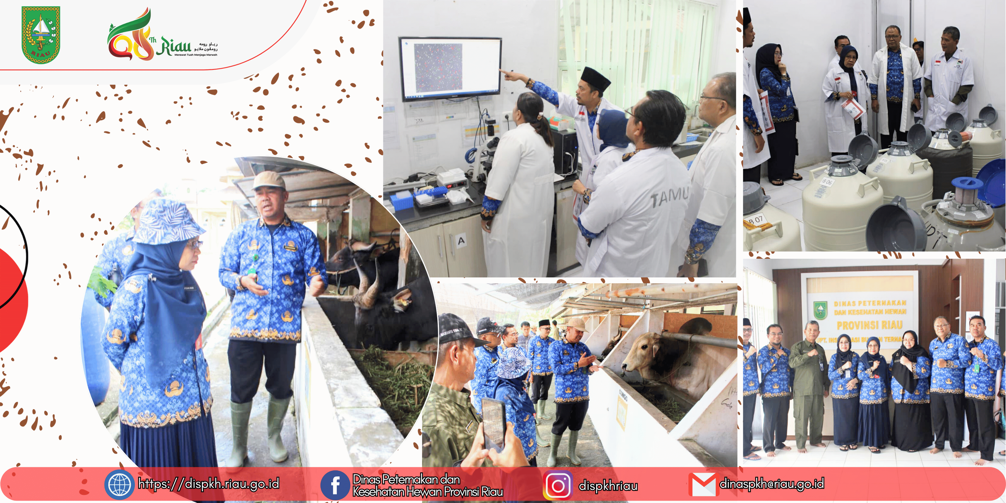  Kadis Peternakan dan Kesehatan Hewan Provinsi Riau Kunjungi UPT Inseminasi Buatan Ternak (IBT)