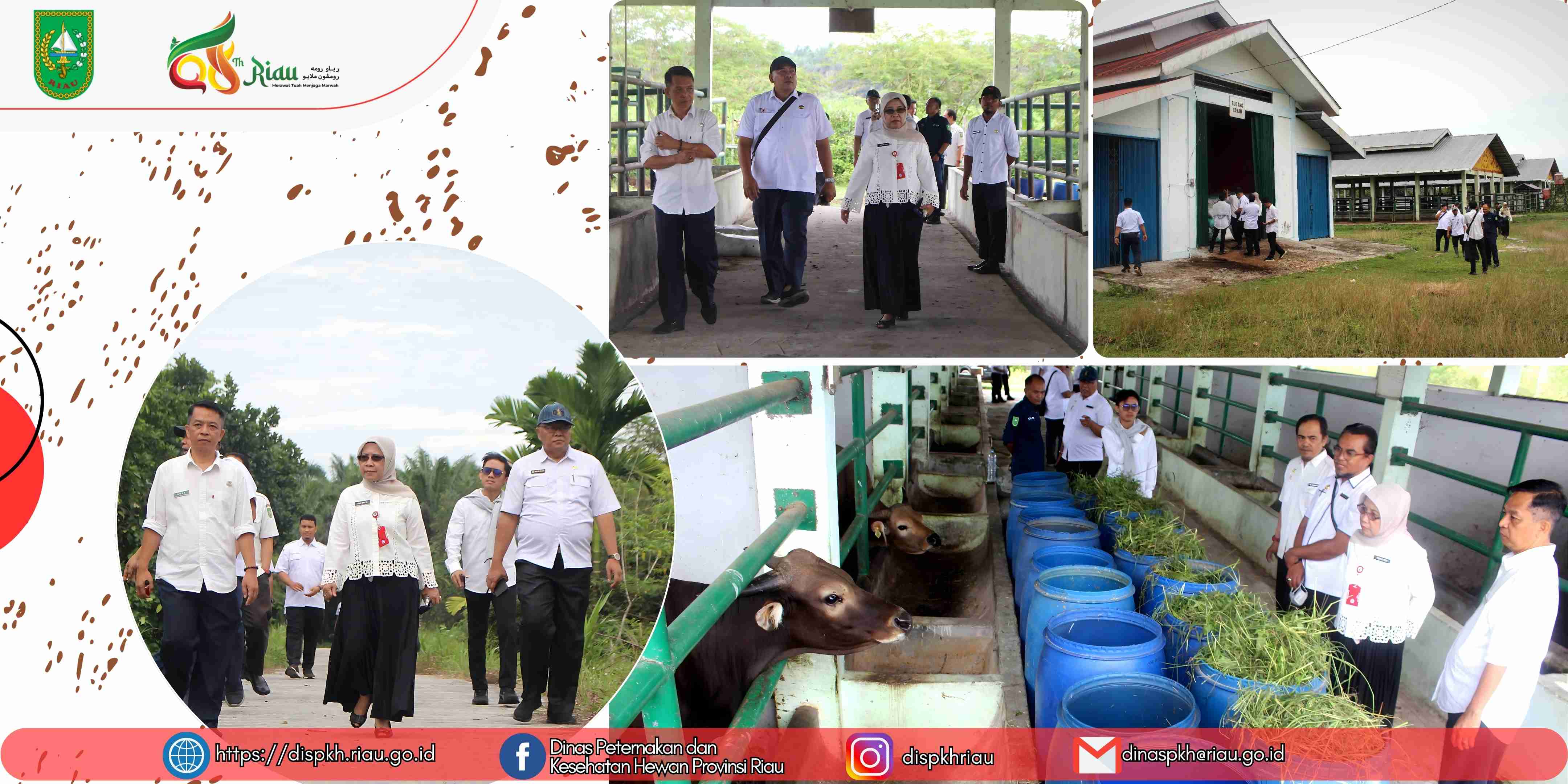 Kepala Dinas Peternakan dan Kesehatan Hewan Provinsi Riau Lakukan Kunjungan Kerja ke UPT Pengembangan Ternak dan Pakan