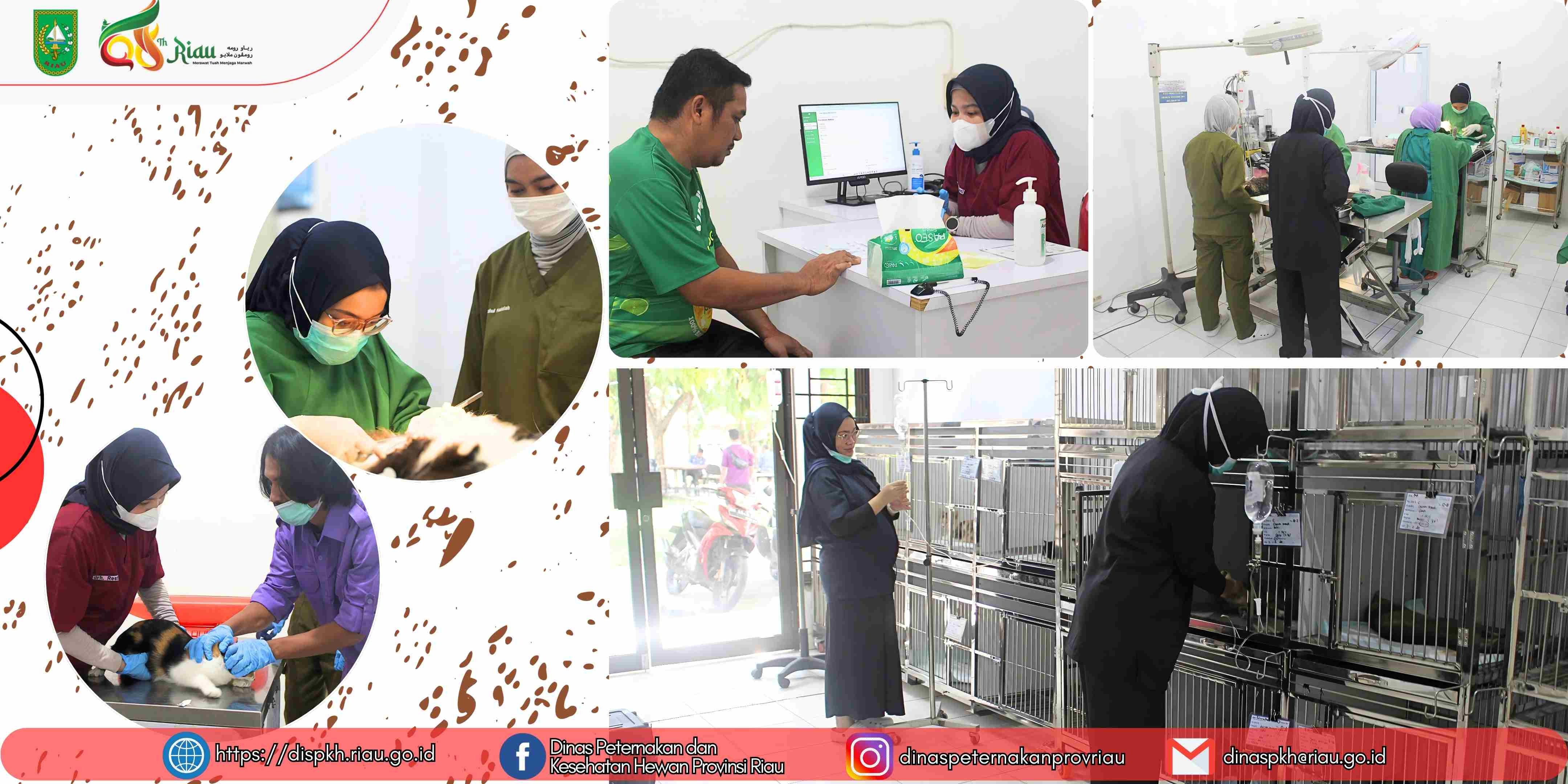 UPT LVKH Layani 87 Tindakan Kesehatan Hewan dalam Program PAWS