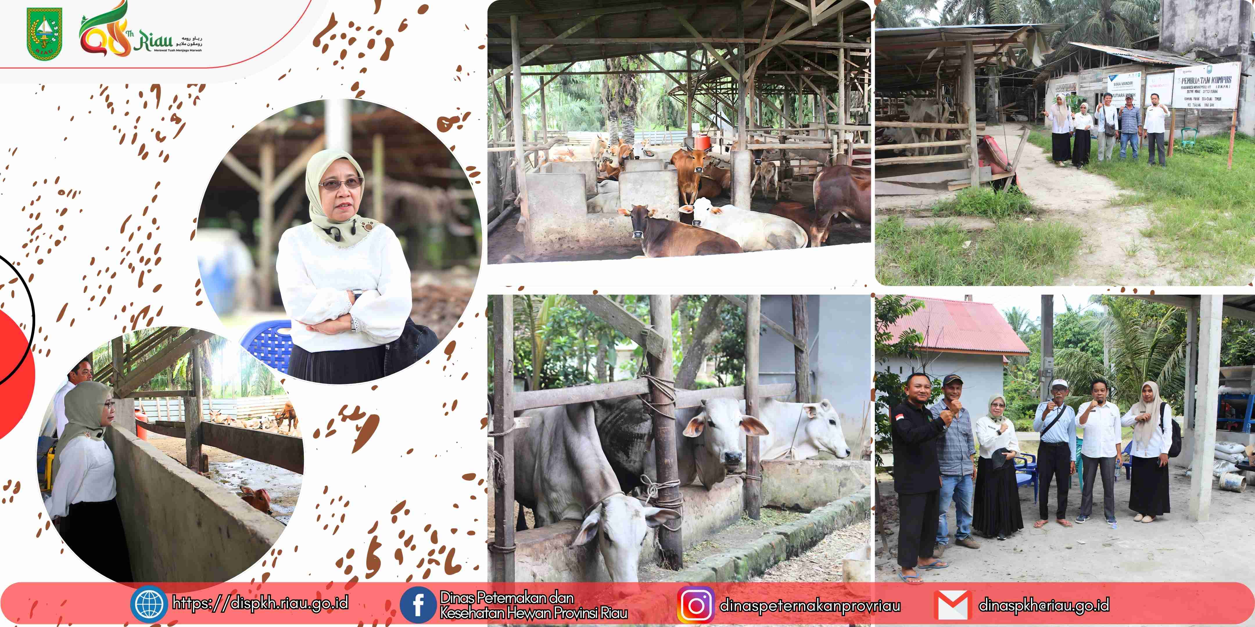 DPKH Provinsi Riau Laksanakan Monitoring Kelompok Ternak di Kabupaten Siak