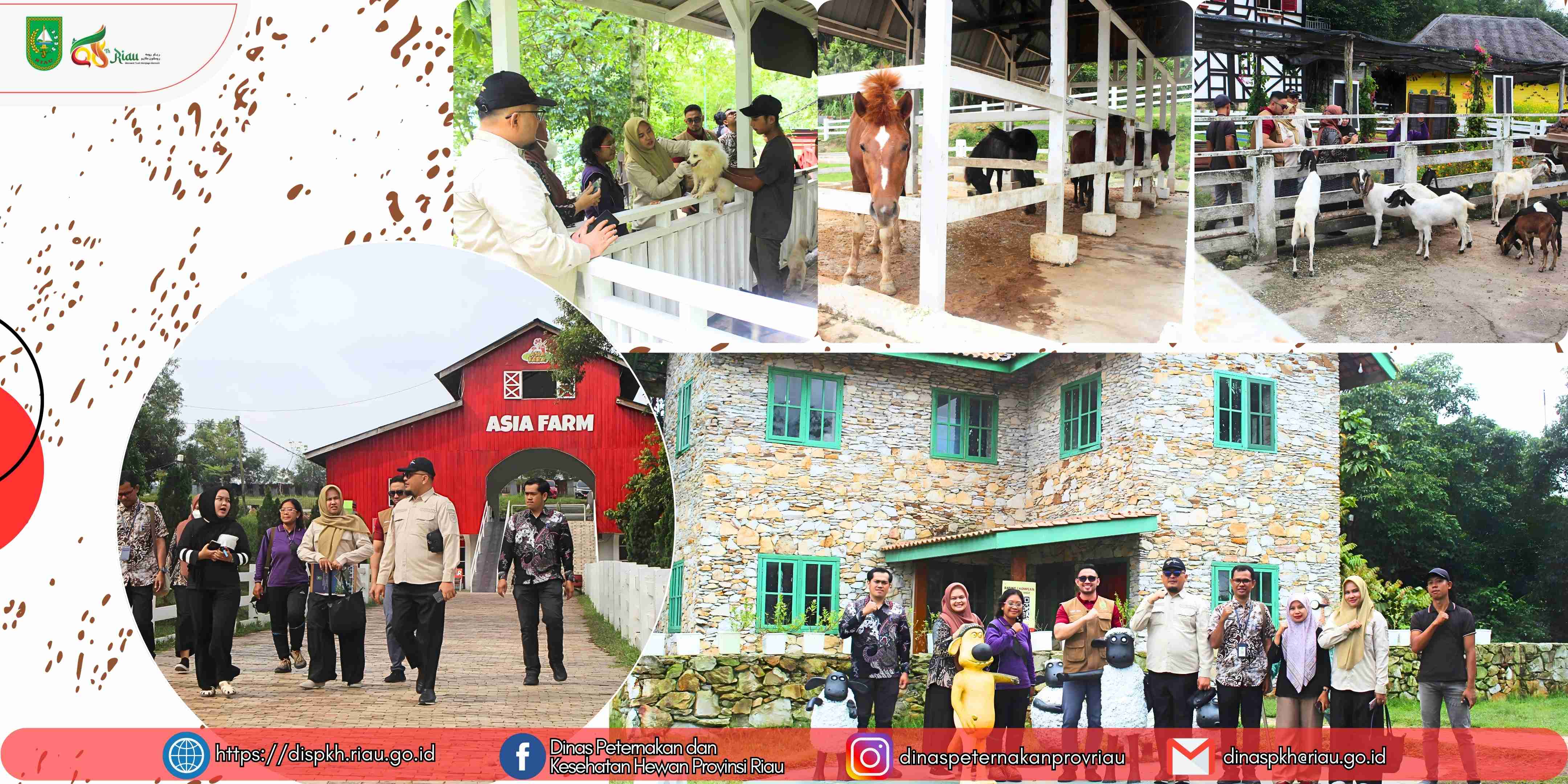 DPKH Provinsi Riau Laksanakan Monitoring Kesejahteraan Hewan di Asia Farm Pekanbaru