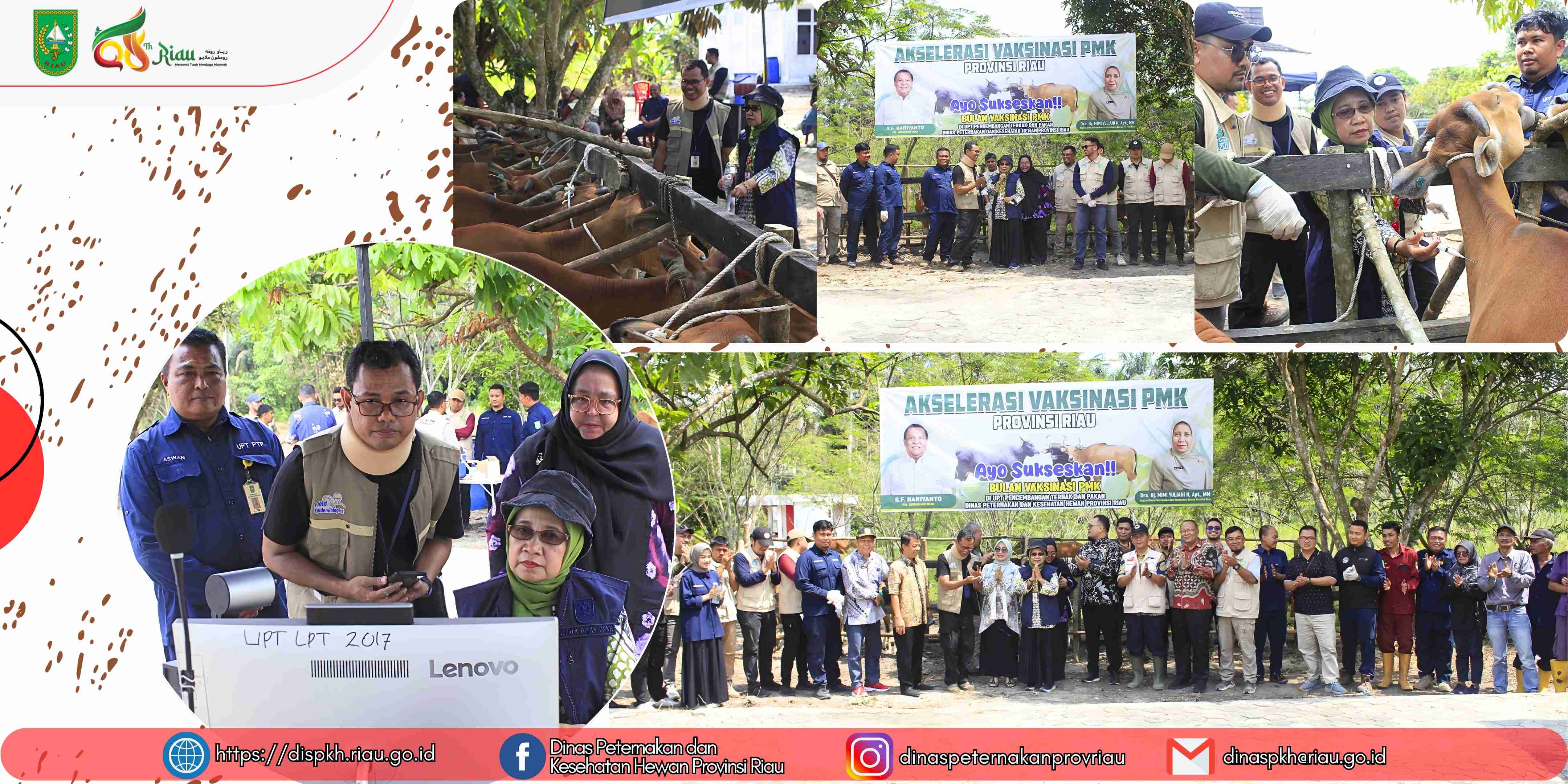 DPKH Provinsi Riau Laksanakan Vaksinasi PMK Serentak dan Ikuti Akselerasi Vaksinasi Nasional Secara Daring