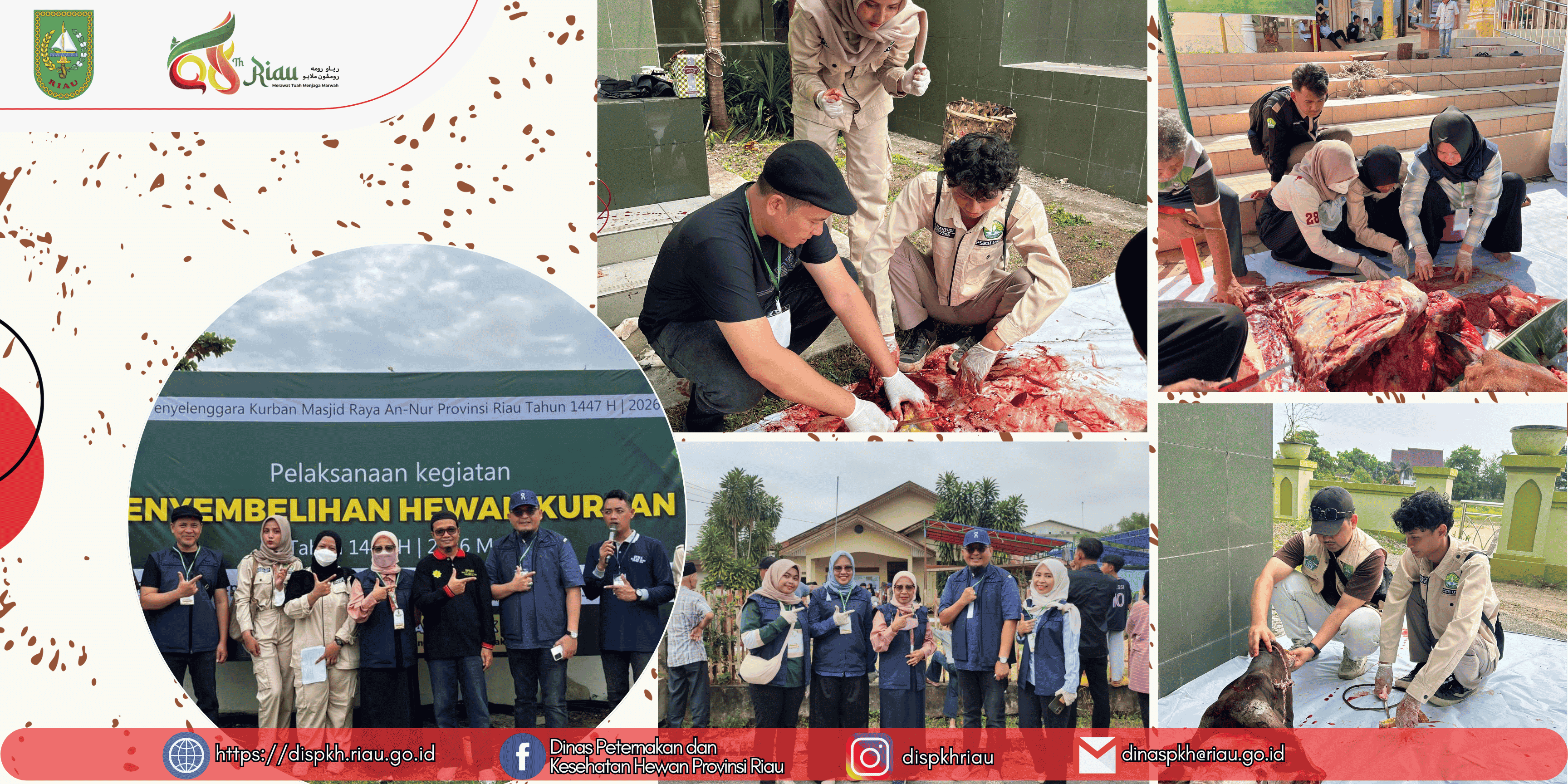 Kadis DPKH Provinsi Riau Tinjau Langsung Pelaksanaan Pemotongan Hewan Kurban di Pekanbaru