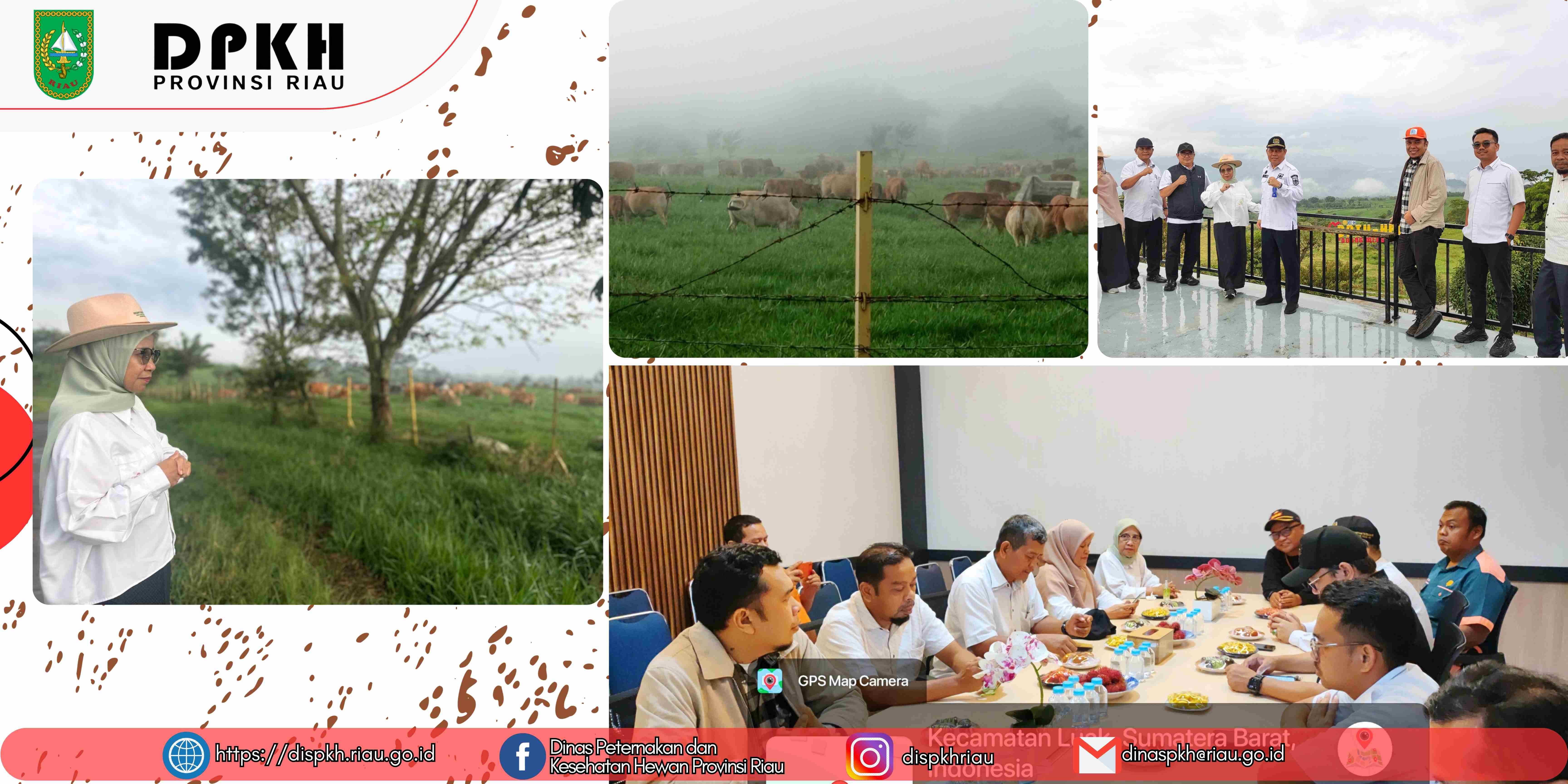 Perkuat Sektor Peternakan Daerah, DPKH Riau Jalin Sinergi Strategis ke BPTU-HPT Padang Mengatas