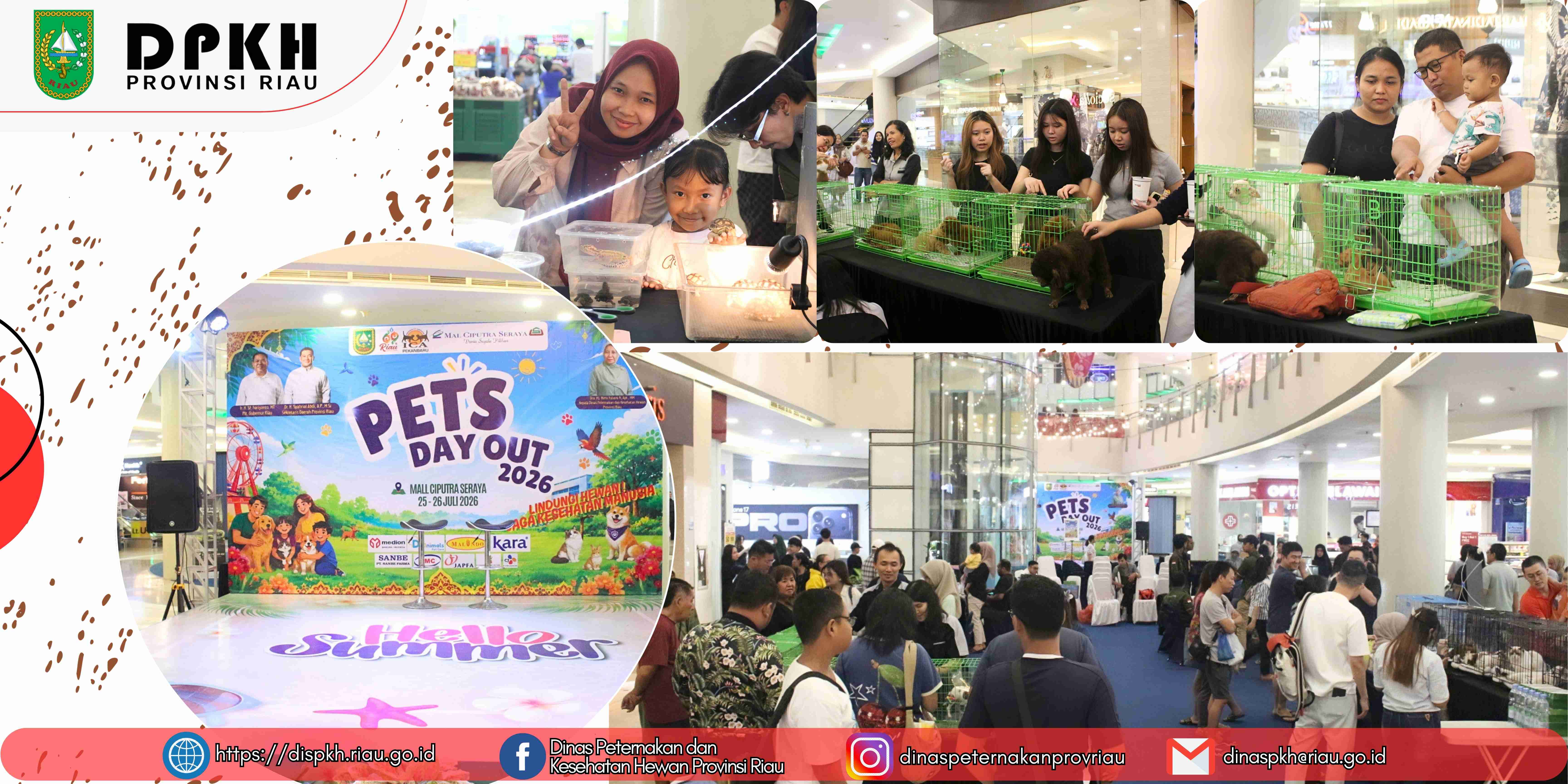 Usung Tema "Lindungi Hewan, Jaga Kesehatan Manusia", DPKH Riau Gelar Pets Day Out 2026: Ratusan Pengunjung dan Anak-Anak Antusias Padati Pet Expo