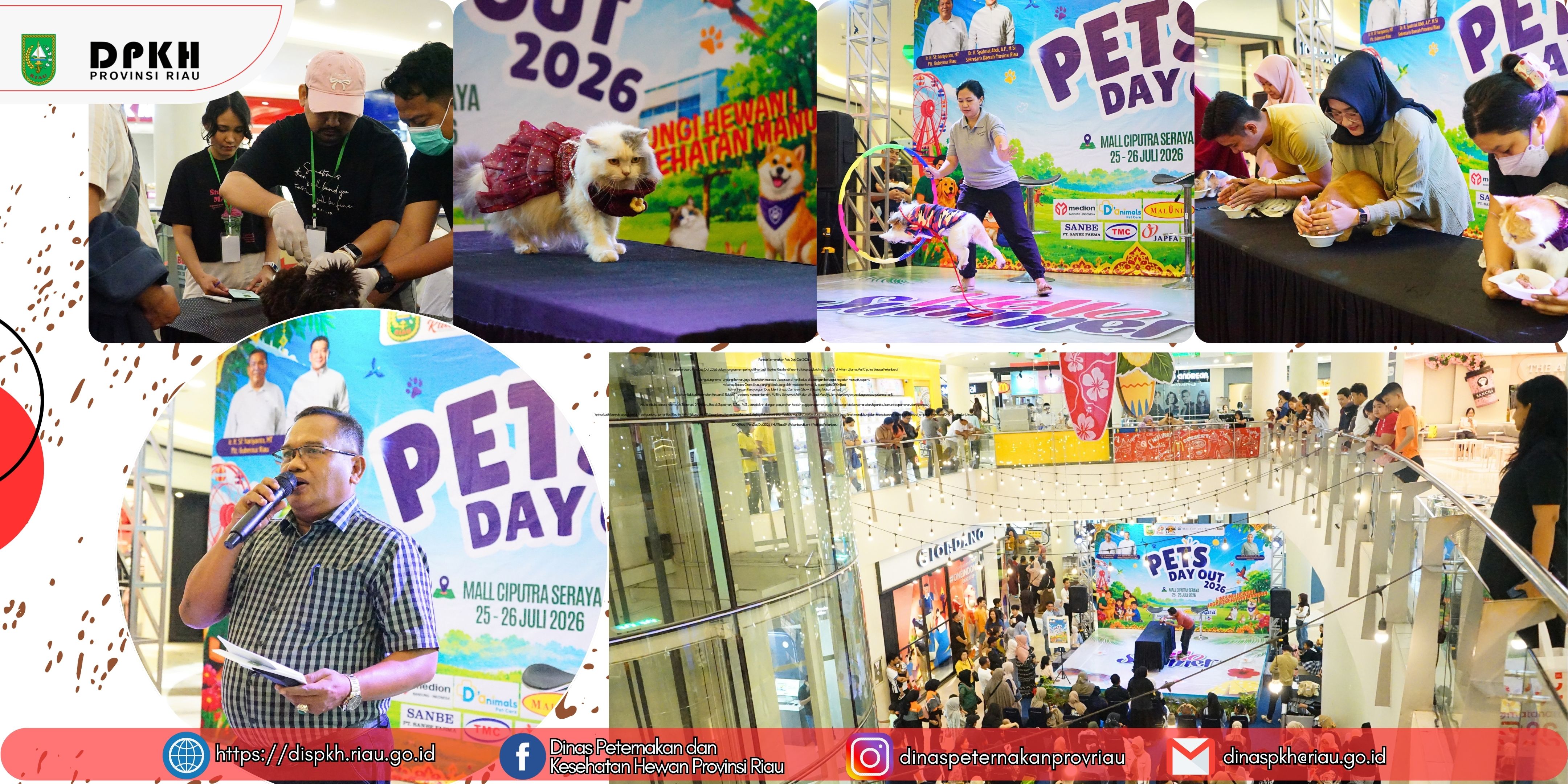 Puncak Kemeriahan Pets Day Out 2026: DPKH Riau Gelar Vaksinasi Anjing dan Kucing Gratis, Kontes Satwa, hingga Talkshow Edukasi