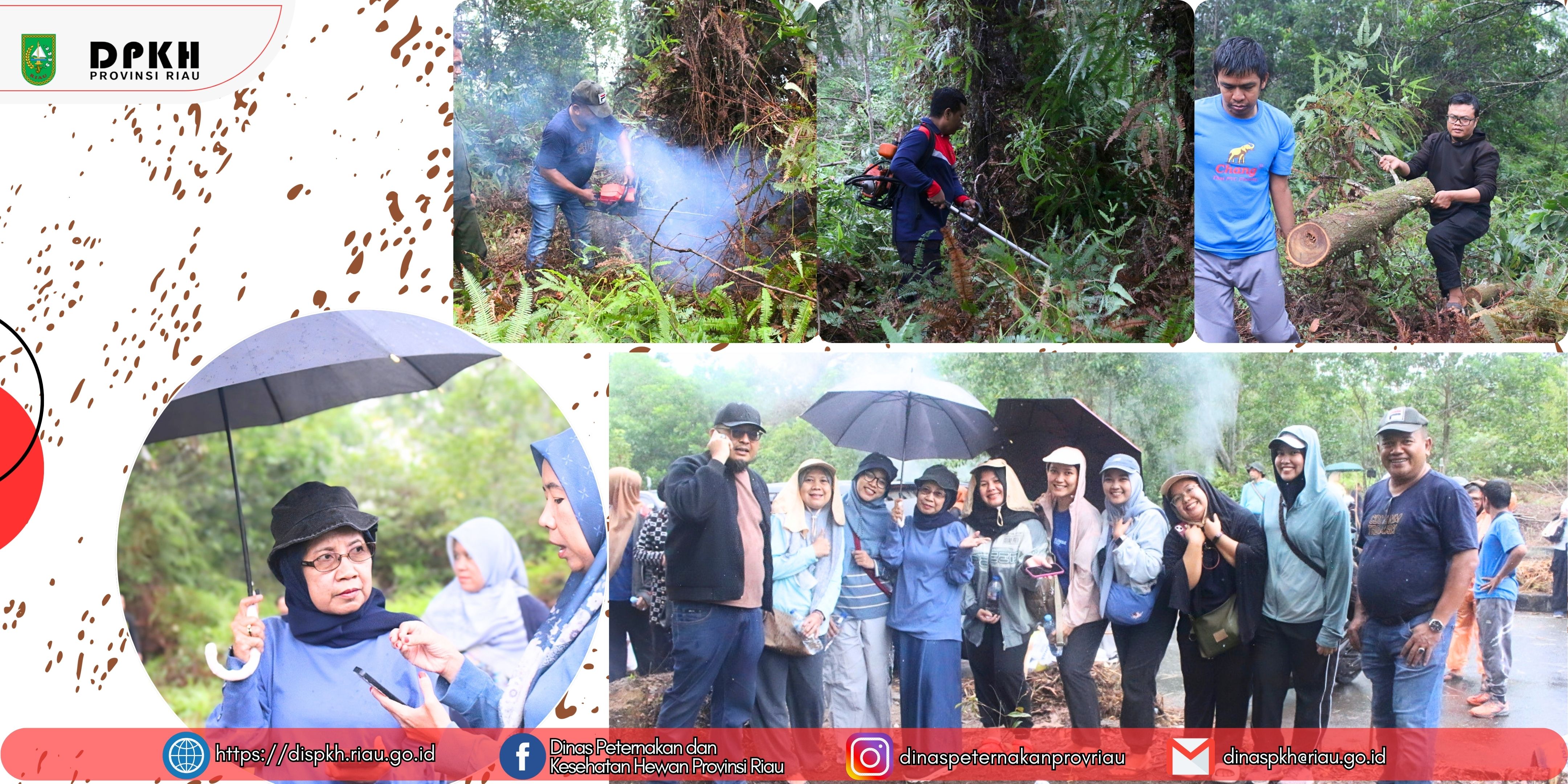 Guyuran Hujan Gerimis Tak Surutkan Semangat, Dinas PKH Riau Bahu-Membahu Bersihkan Semak untuk Persiapan Penanaman Pohon