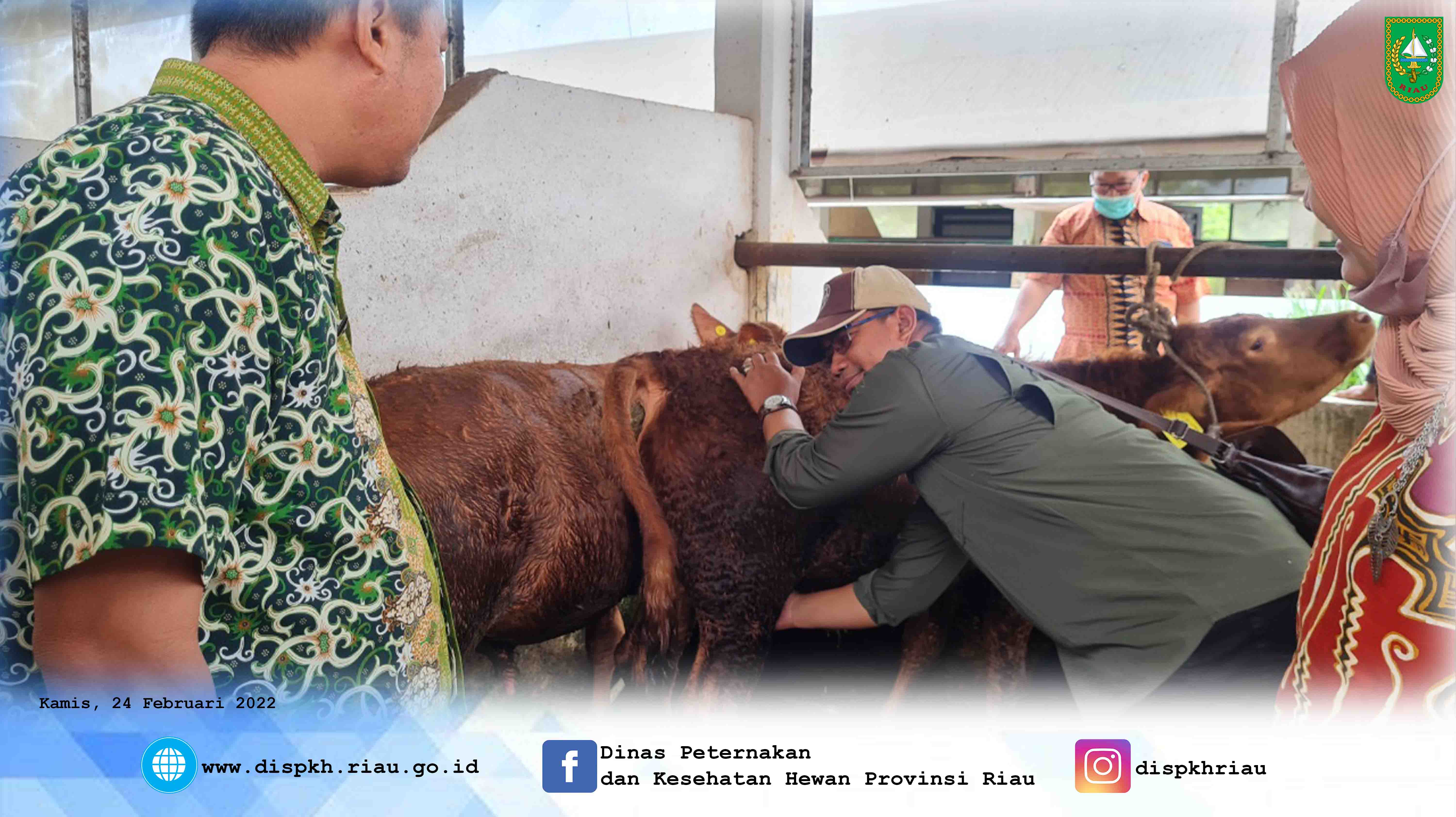 Kepala Balai Pembibitan Ternak Unggul (BPTU) Hijauan Pakan Ternak (HPT) melakukan kunjungan kerja ke Dinas Peternakan dan Kesehatan Hewan Provinsi Riau