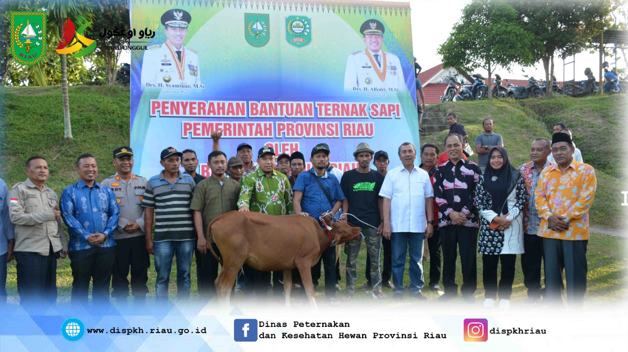 Penyerahan Sapi Bantuan Pemerintah Provinsi Riau