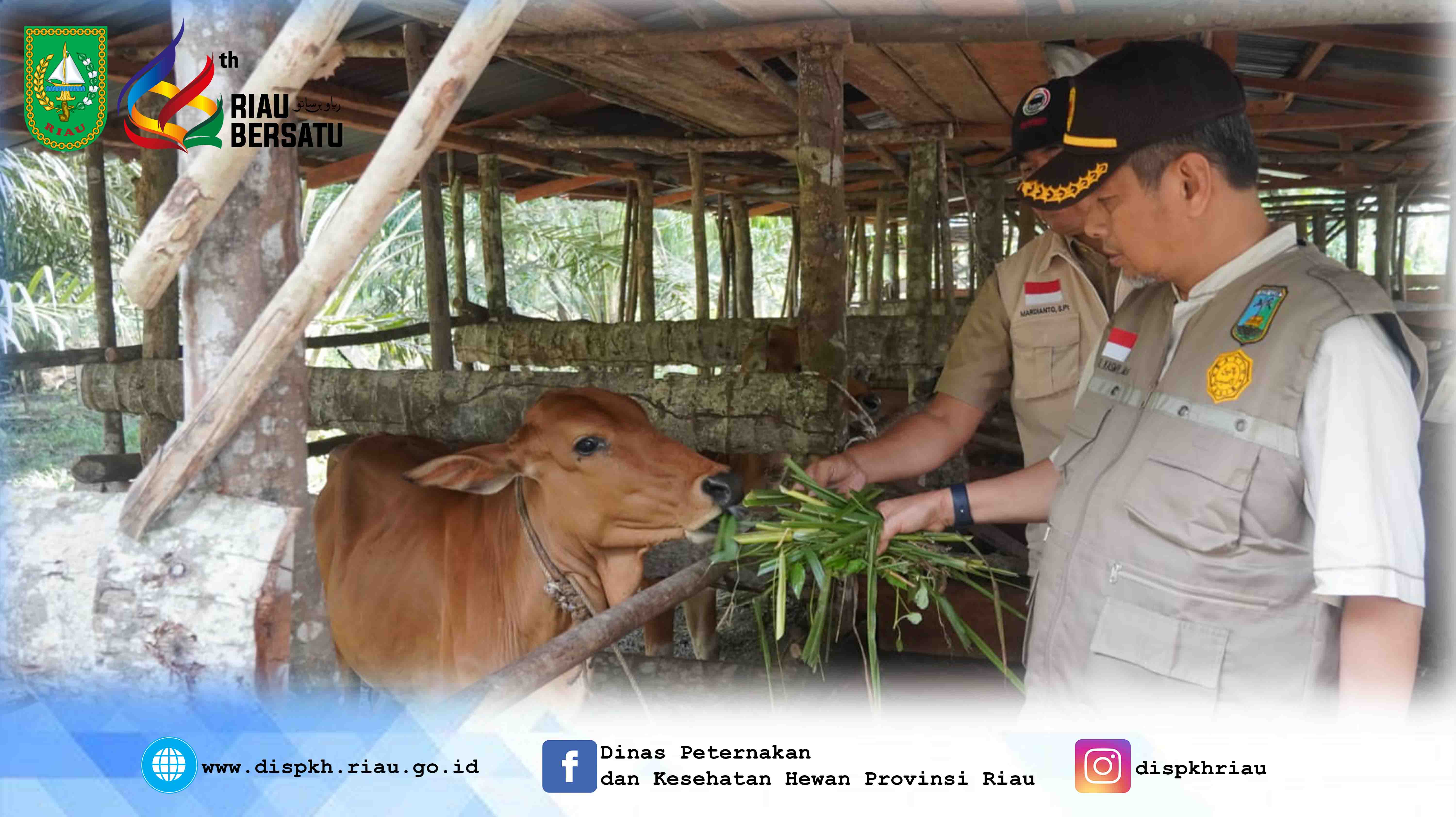 Kepala Dinas melakukan kunjungan Kerja ke Dinas Ketahanan Pangan dan Pertanian Kota Duma