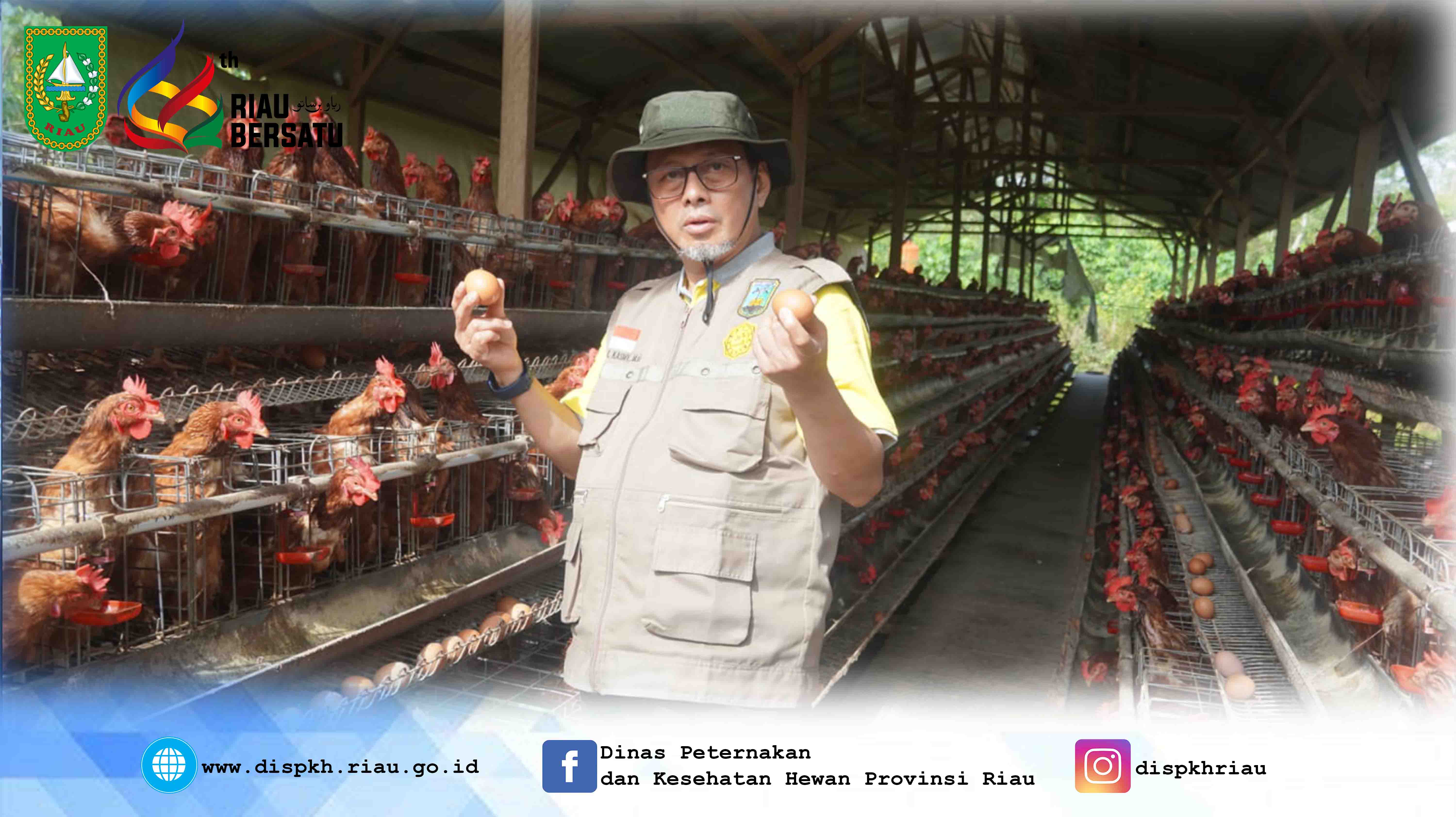 Peninjauan Kepala Dinas Peternakan dan Kesehatan Hewan Provinsi Riau ke Kandang Ayam Ras