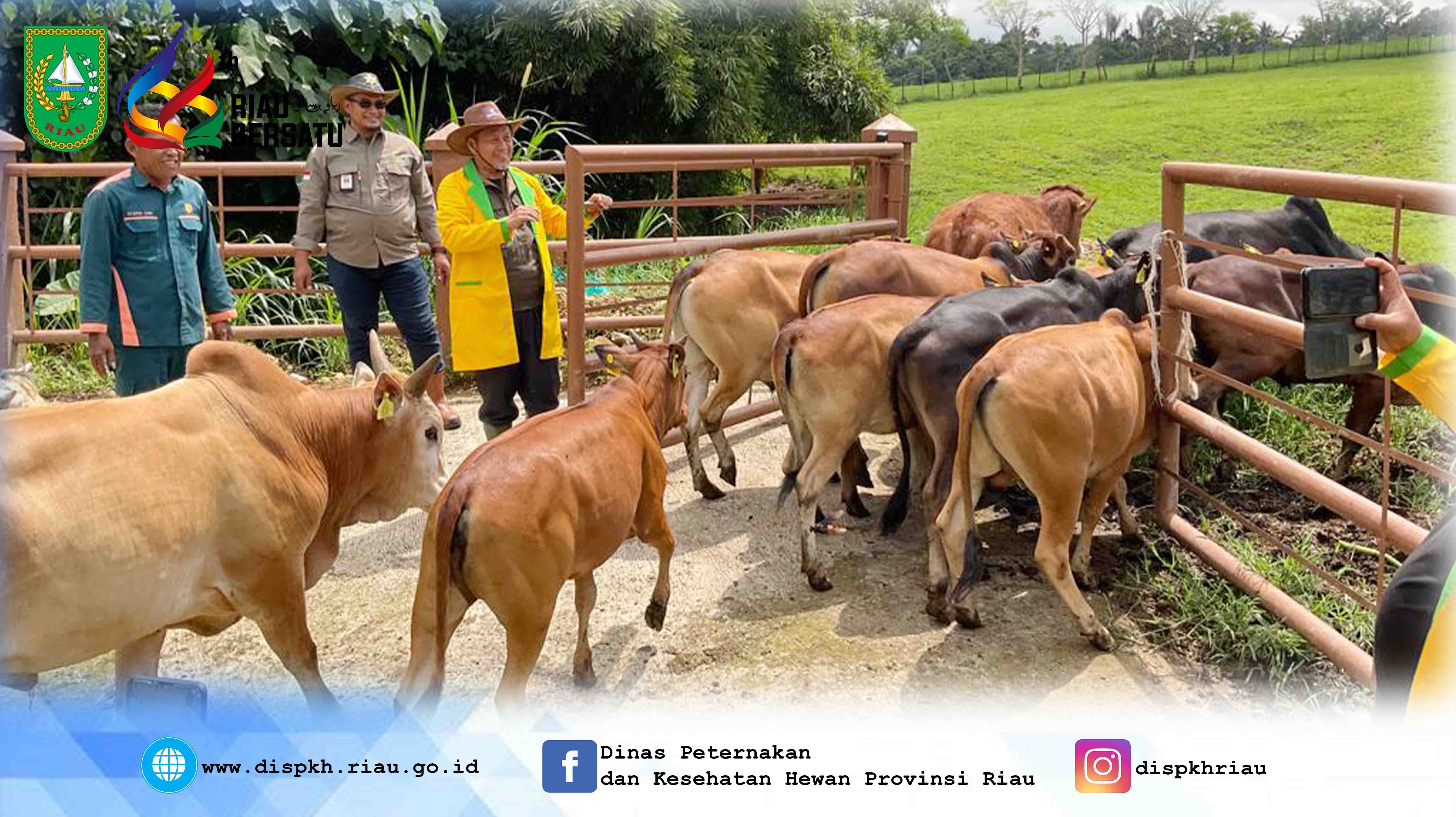 Kunjungan ke Balai Pembibitan Ternak Unggul dan Hijauan Pakan Ternak (BPTUHPT) Padang Mengatas