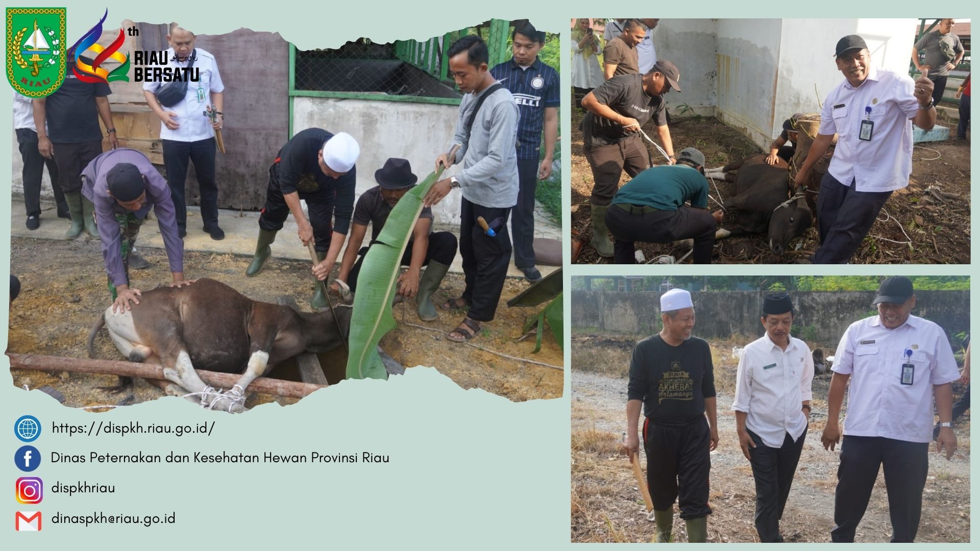 Pemotongan Hewan Kurban di Holding Ground UPT Laboratoriun Veteriner dan Klinik Hewan