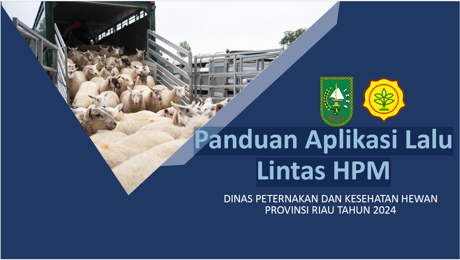 Panduan Aplikasi Lalu Lintas HPM