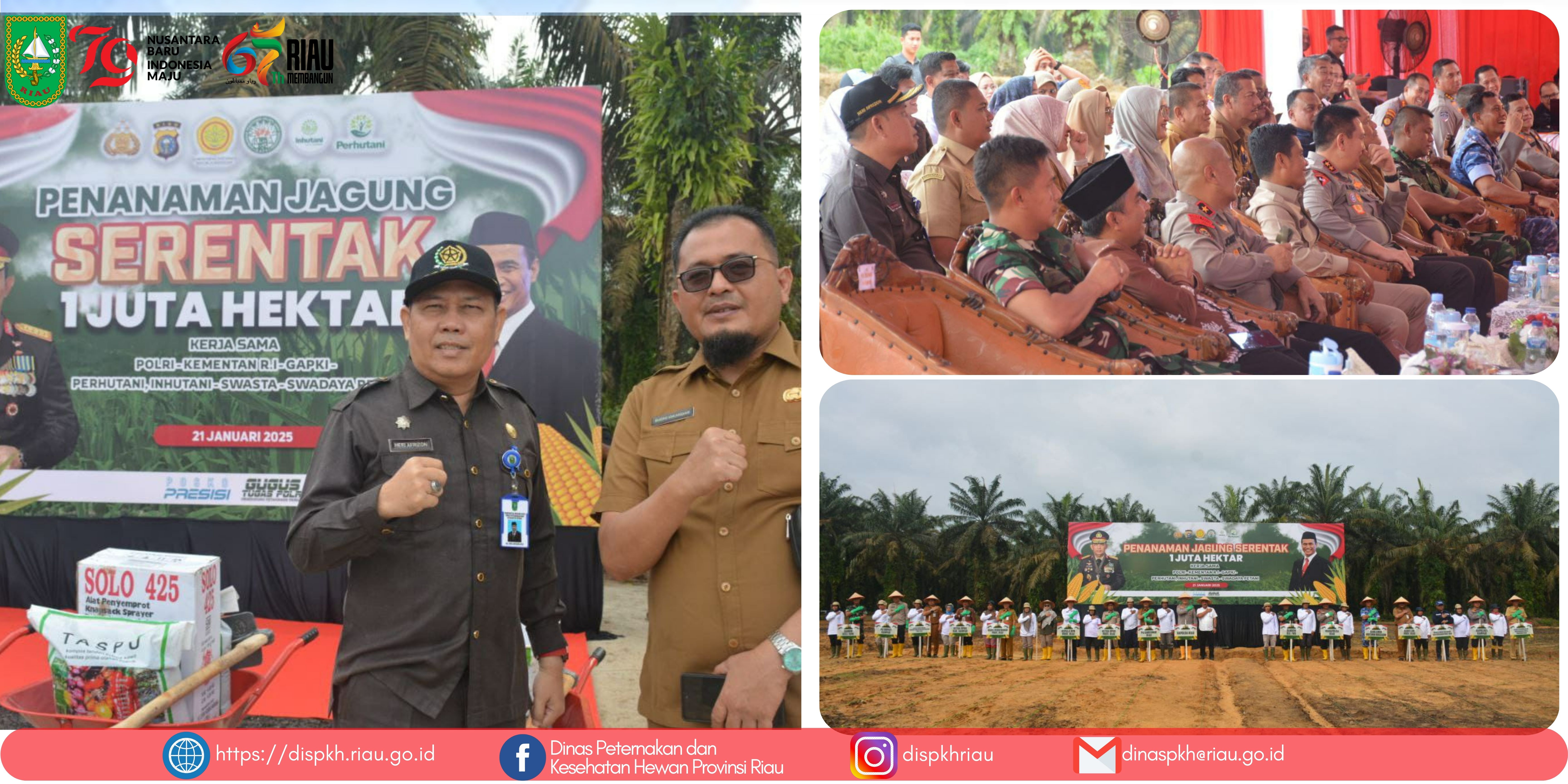 Penanaman Jagung 1 Juta Hektar