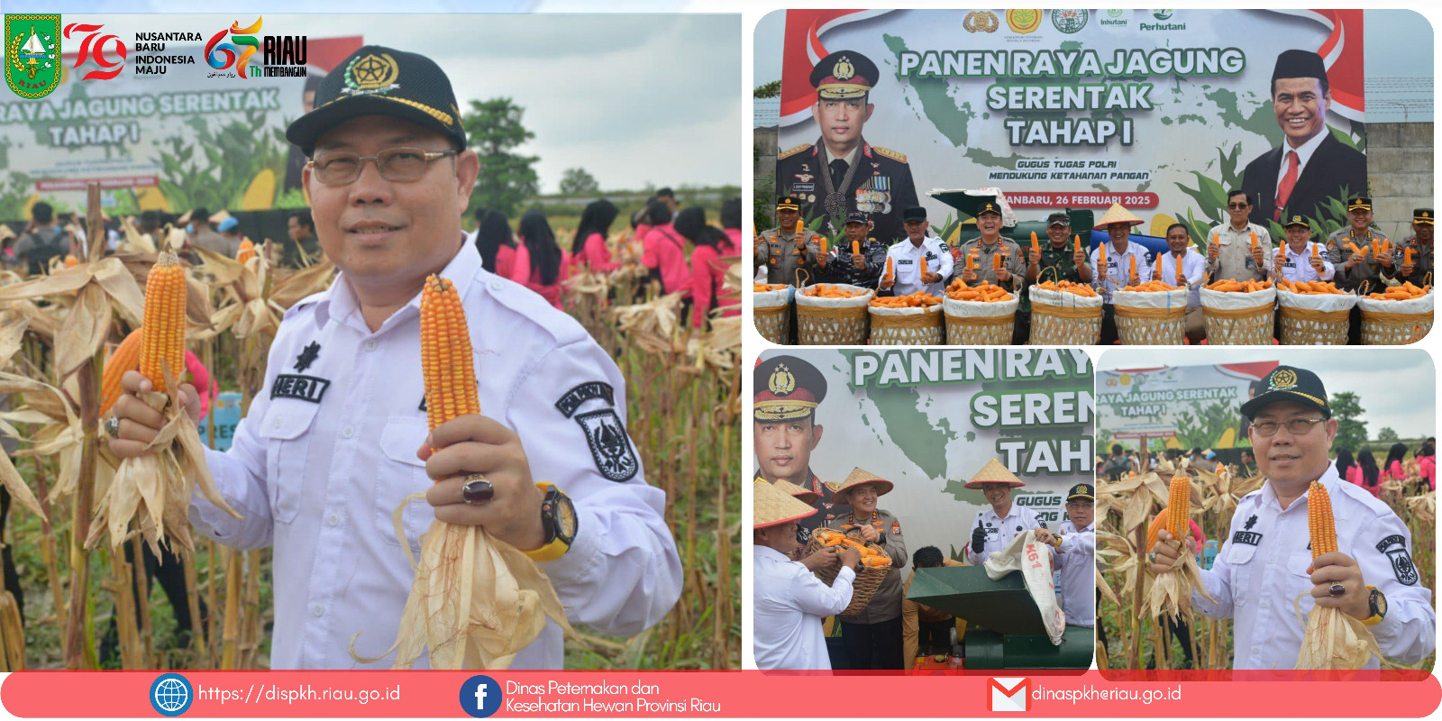 Plt. Kepala Dinas Peternakan dan Kesehatan Hewan Provinsi Riau, Drs. Heri Afrizon, M.Si,Menghadiri Acara Panen Raya Serentak Tahap I 