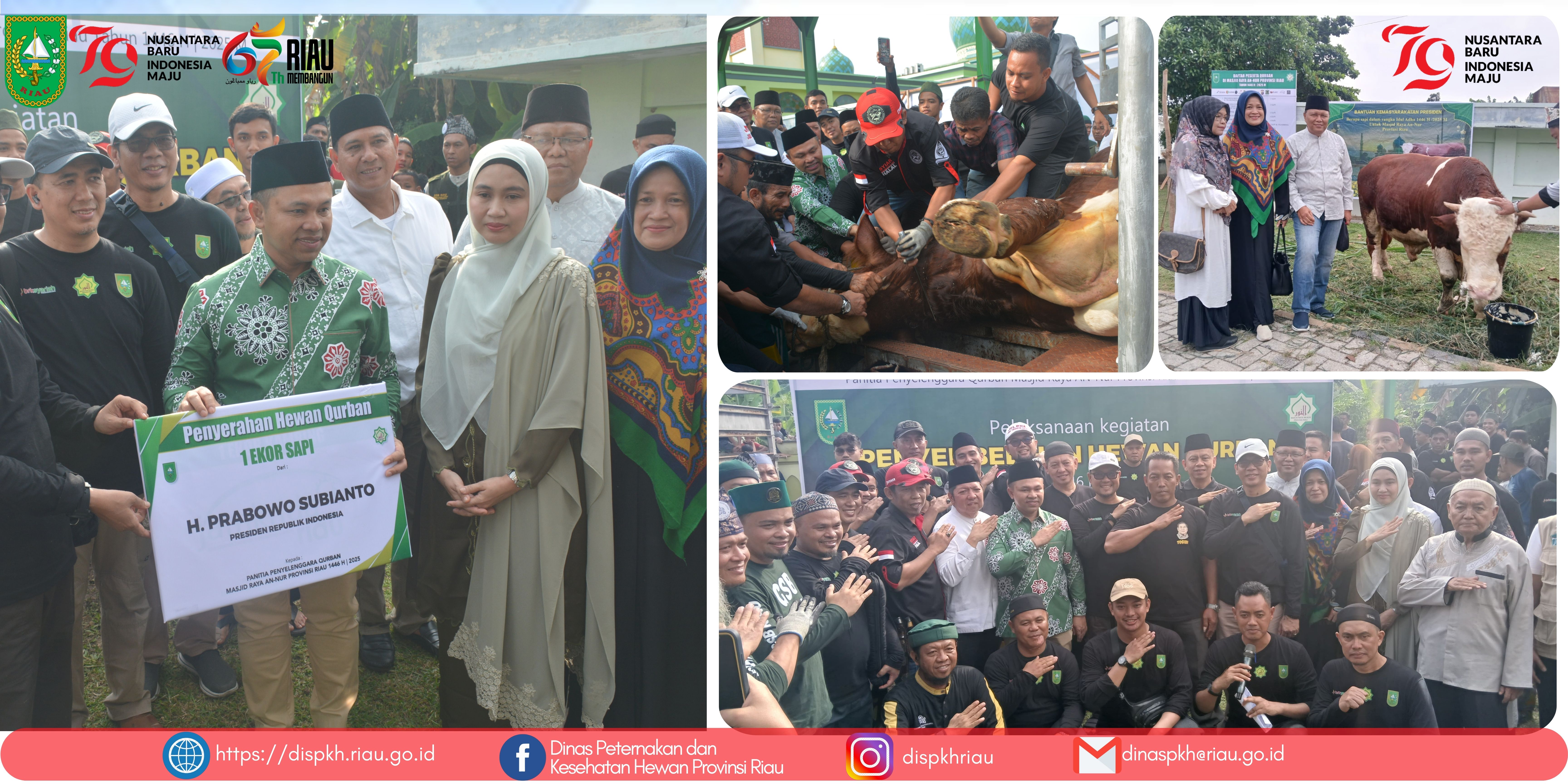 Penyerahan Hewan Qurban Presiden RI oleh Gubernur Riau di Masjid Raya Annur Provinsi Riau