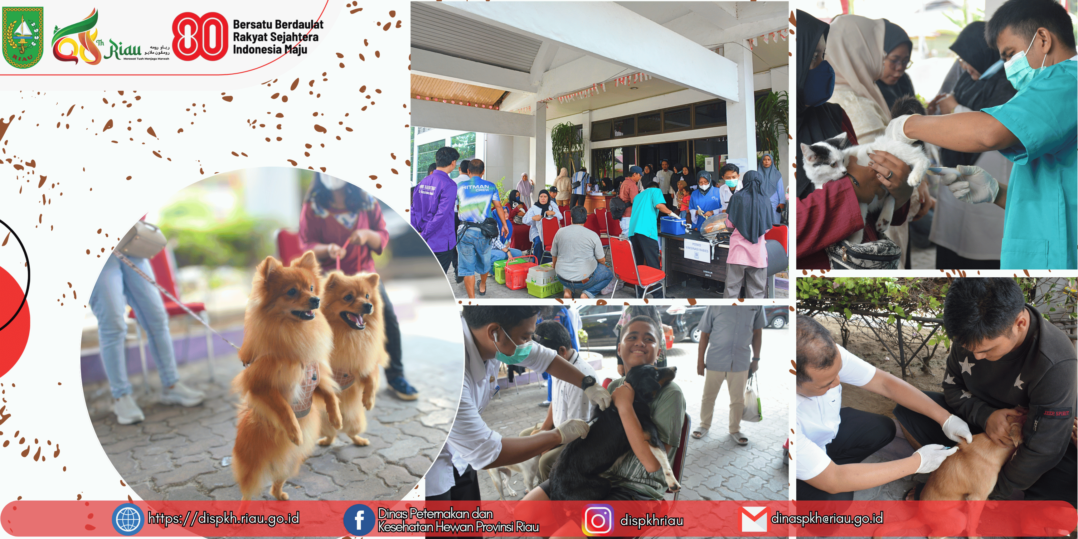 Vaksinasi Rabies dalam Rangka Bulan Bakti Peternakan, Baru 3 Hari Sudah 342 Hewan Divaksin